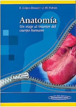 Anatomía. Un viaje sl interior del cuerpo humano