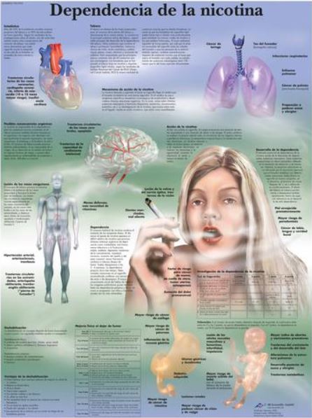 Lámina DEPENDENCIA DE LA NICOTINA