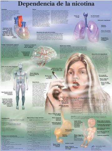 Lámina DEPENDENCIA DE LA NICOTINA