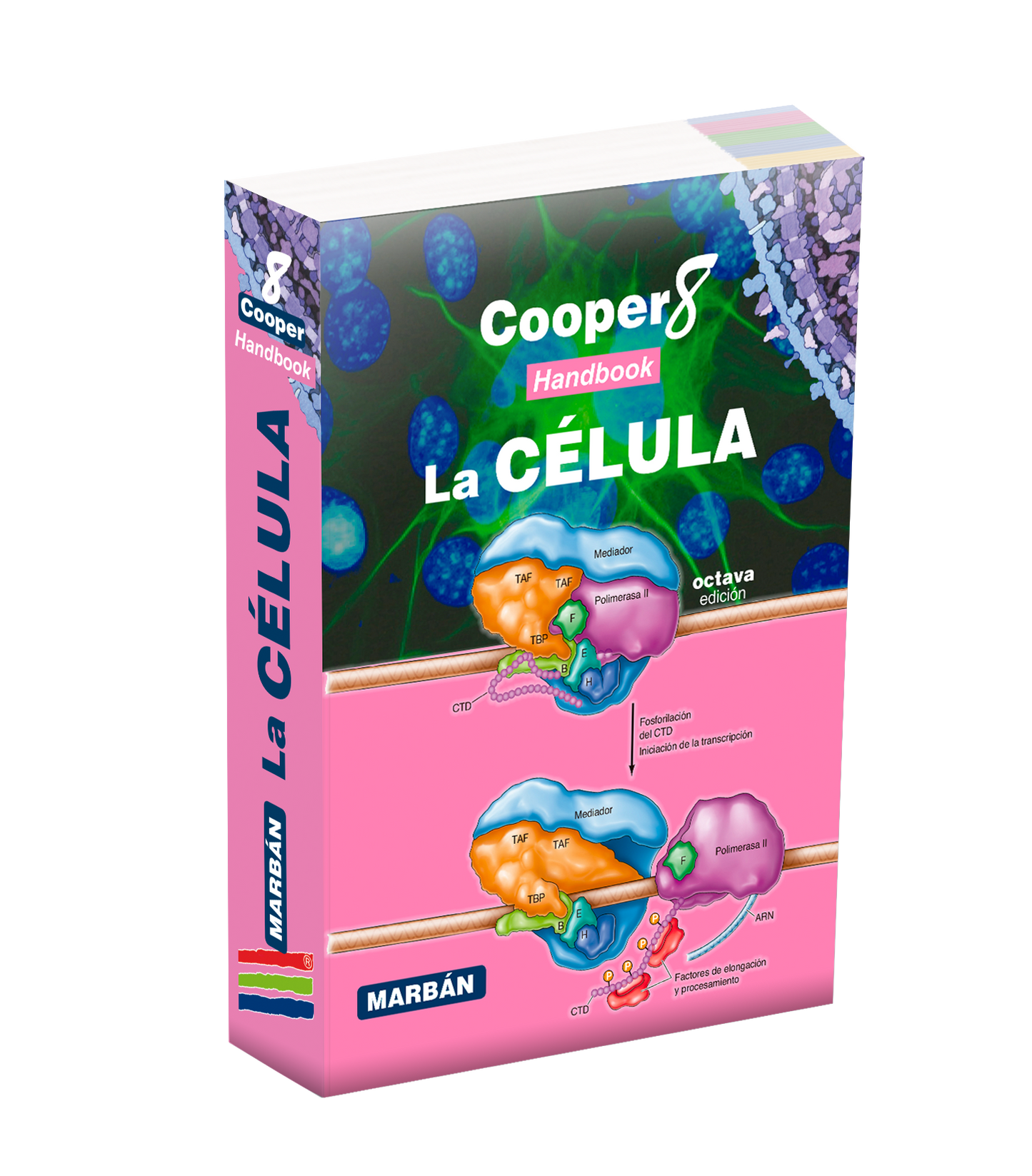 Cooper - La Célula  - Handbook