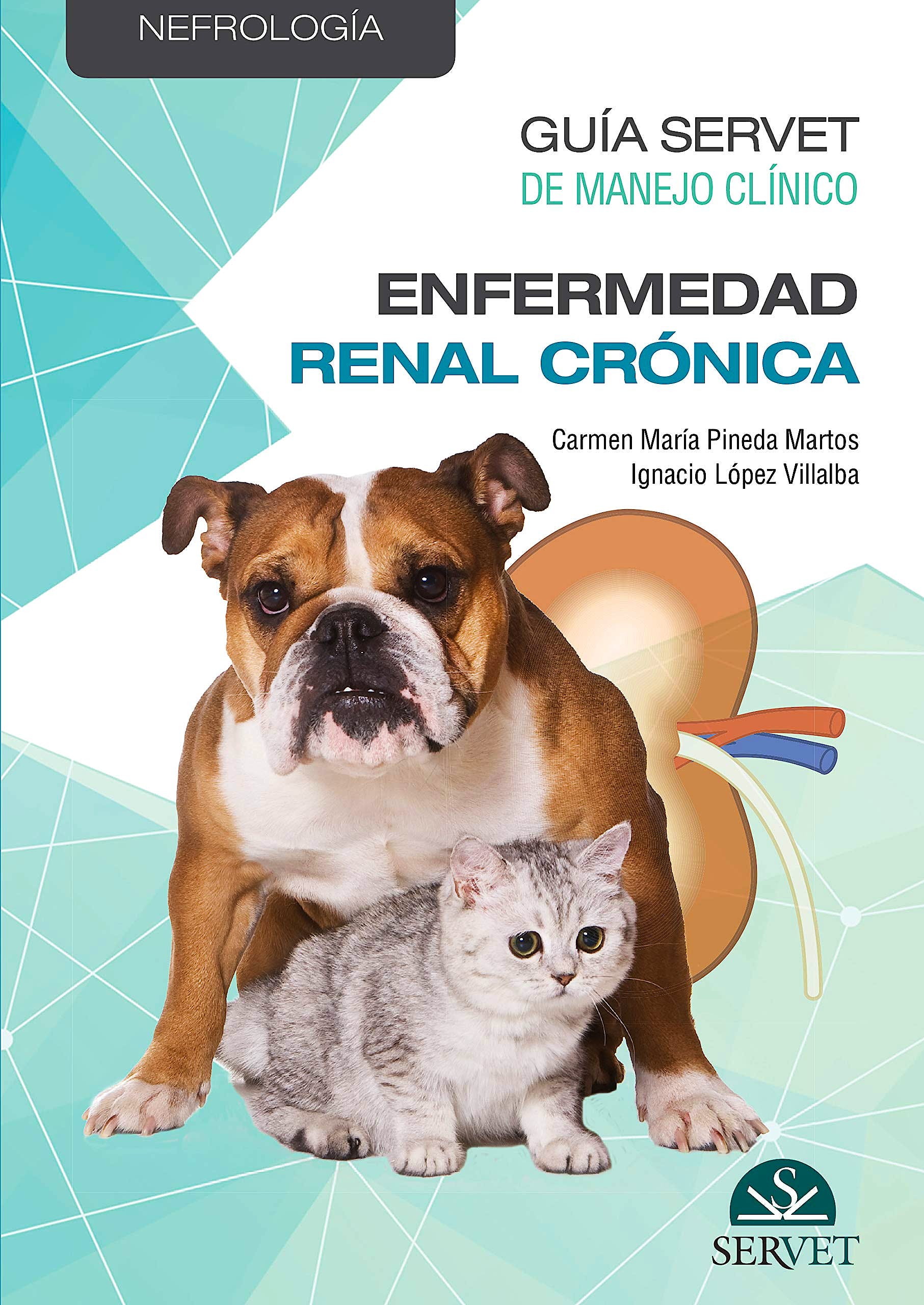 Enfermedad Renal Crónica (Guía Servet de Manejo Clínico. Nefrología)