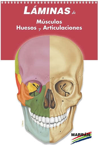 Láminas de Músculos, Huesos y Articulaciones ISBN: 9788417184889 Marban Libros
