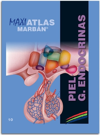 Maxi Atlas 10 Piel Glándulas Endocrinas ISBN: 9788417184148 Marban Libros