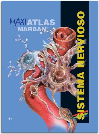 Maxi Atlas 11 Sistema Nervioso ISBN: 9788417184155 Marban Libros
