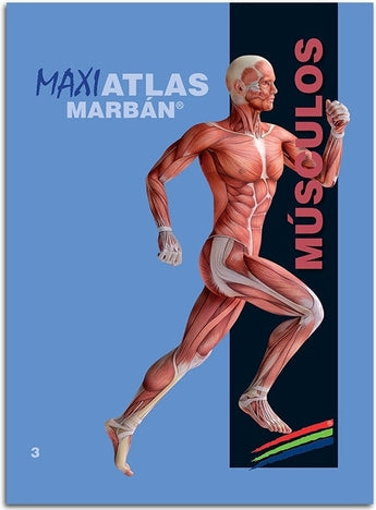 Maxi Atlas 3 Músculos ISBN: 9788417184070 Marban Libros