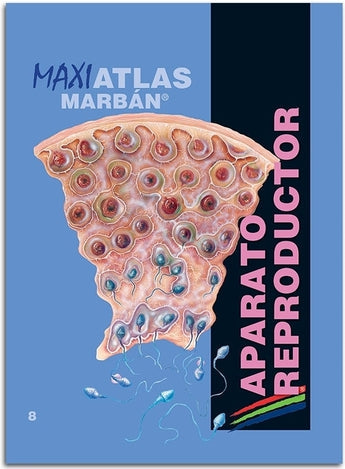 Maxi Atlas 8 Aparato Reproductor ISBN: 9788417184124 Marban Libros