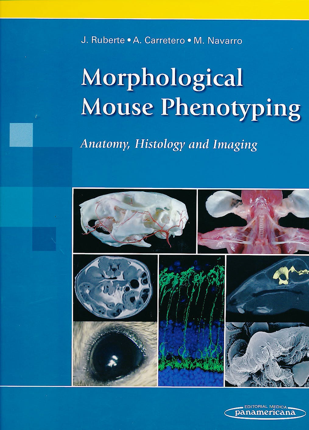 Morphological Mouse Phenotyping