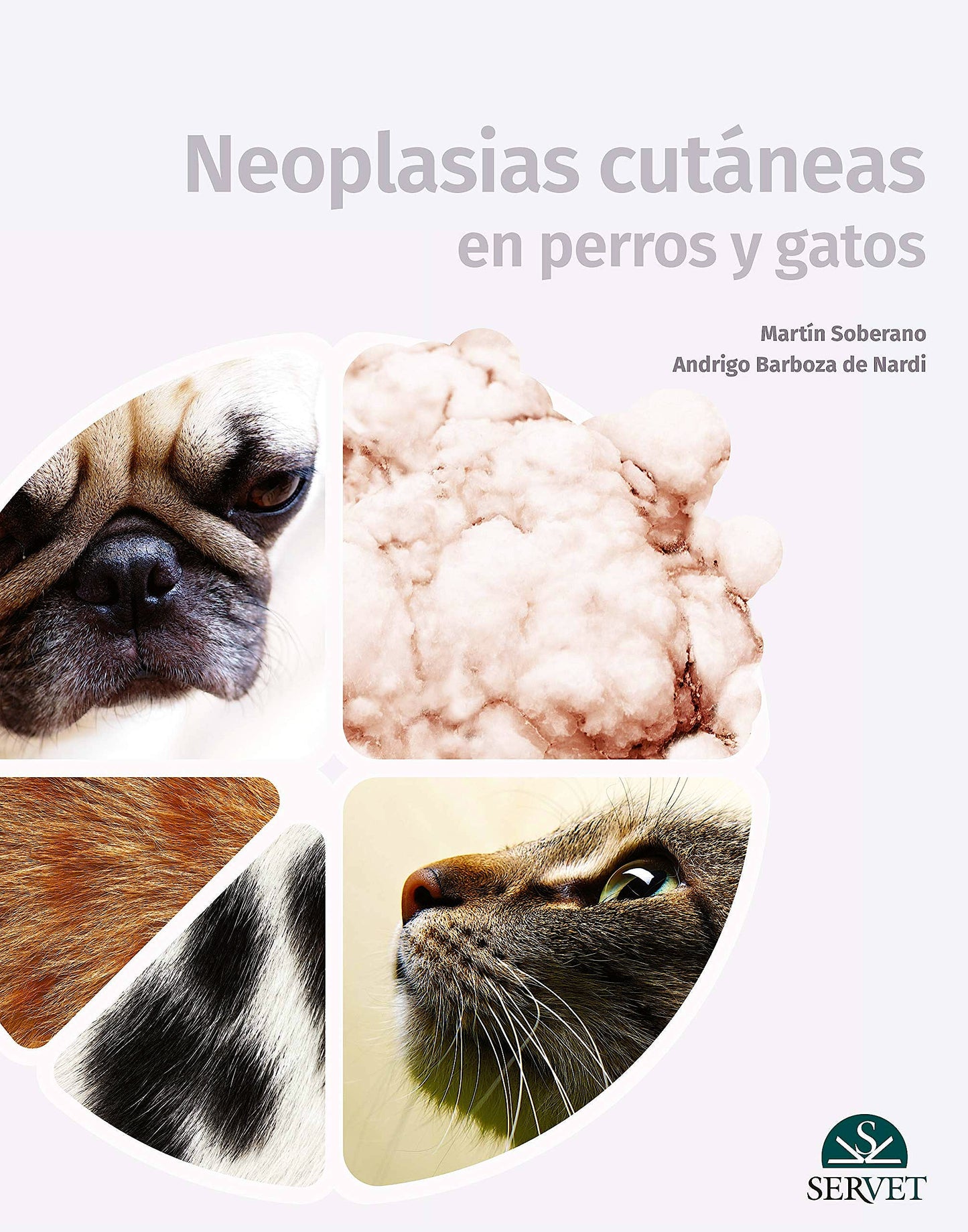 Neoplasias Cutáneas en Perros y Gatos