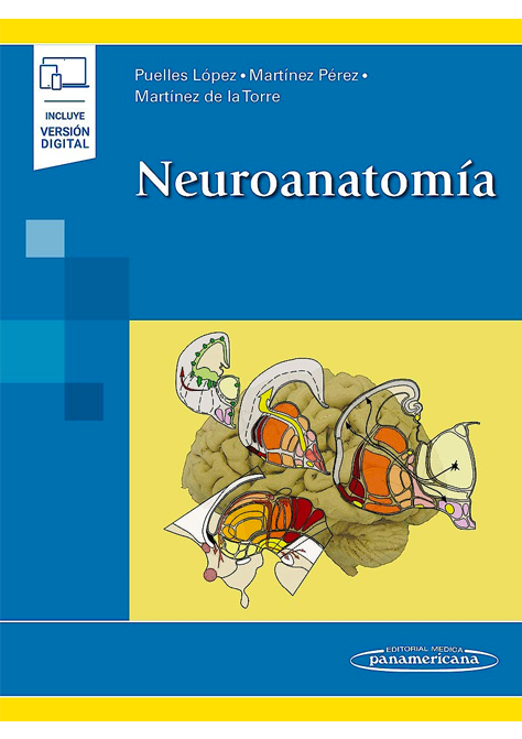 Neuroanatomía