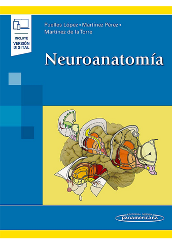 Neuroanatomía