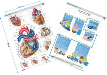 Pack 2 Láminas - Cardiología ISBN: Marban Libros