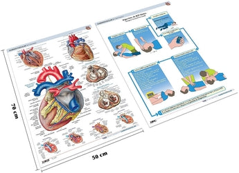 Pack 2 Láminas - Cardiología ISBN: Marban Libros