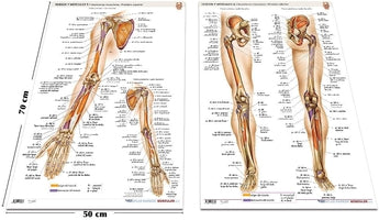 Pack 2 Láminas - Insercciones Musculares ISBN: Marban Libros