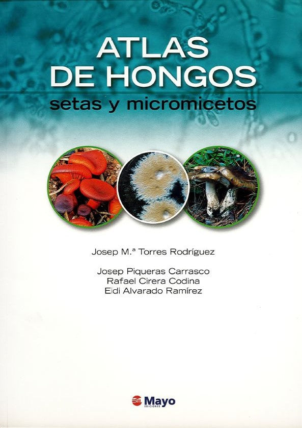Atlas de Hongos: Setas y Micromicetos
