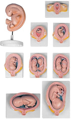 SKU: L204 - SET 9 MODELOS DE EMBARAZO ISBN: L204 Marban Libros